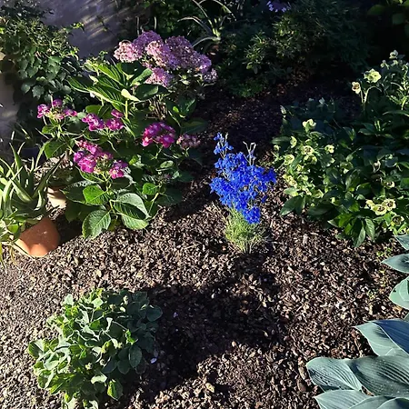 Recinto Nobili 1-parcheggio Privato Gratuito Apartmán