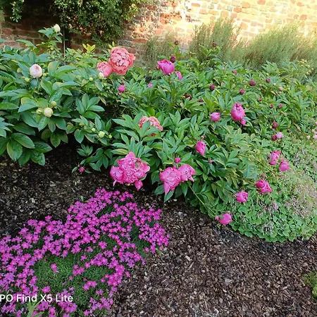 Recinto Nobili 1-parcheggio Privato Gratuito Apartmán Asti